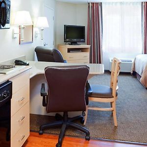 Double Studio Two Double Beds Non-Smoking